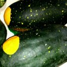 Moon Stars Cherokee Watermelon Fruit And Leaves Variegated Fresh Seeds Fast Shipping