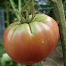 Mr.Green Shoulders Tomato Seeds Fresh Seeds Fast Shipping