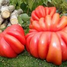 Mushroom Basket Tomato Seeds Rare Fresh Seeds Fast Shipping