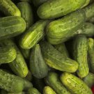 National Pickling Cucumber Seeds Fresh Seeds Fast Shipping