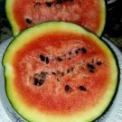 New Sugar Baby Bush Watermelon Great For Limit Space Gardening Fresh Seeds Fast Shipping