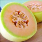 Orange Flesh Honeydew Seeds Fresh Seeds Fast Shipping