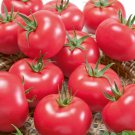 Porter Tomato Seeds Great For Growing In Containers Fresh Seeds Fast Shipping