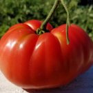 Red King Tomato Seeds Heavy Fruit Limit Supple Fresh Seeds Fast Shipping