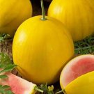 Royal Golden Watermelon Seeds The Melons Turn Dark Yellow When Ripe Fresh Seeds Fast Shipping