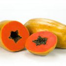Royal Star Papaya Seeds Fresh Seeds Fast Shipping