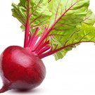 Ruby Queen Beet Seeds Fresh Seeds Fast Shipping
