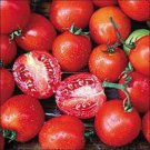 Siberian Tomato Seeds Fresh Seeds Fast Shipping