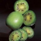 Southern Mini Kiwi Berries Fresh Seeds Fast Shipping