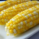 Sugarbaby Sweet Corn Seeds Fresh Seeds Fast Shipping
