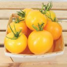 Taxi Tomato Seeds Fresh Seeds Fast Shipping