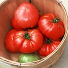 Watermelon Beefsteak Tomato Seeds Fresh Seeds Fast Shipping