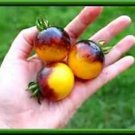 Yellow Bumblebee Tomato Seeds Fresh Seeds Fast Shipping