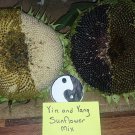 Yin Yang Sunflower Seed Mix Fresh Seeds Fast Shipping