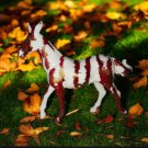 Hartland Donkey Sassy  by Kathleen Moody fall decorator