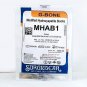 G Bone Graft Material Modified Hydroxyapetite Blocks For Implant Dental G BONE