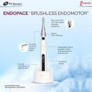 Woodpecker ENDOPACE High Performance Lightest BRUSHLESS EndoMotor