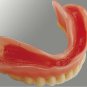 MolloPlast B Silicone Based Soft Relining Permanant Material 45g Jar