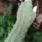 Green Knitted Fingerless Texting Gloves Mittens Armwarmer Holiday Gift