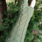 Green Knitted Fingerless Texting Gloves Mittens Armwarmer Holiday Gift