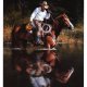 horse  saddle &  acceseries