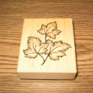 PSX Leaf Trio Wood Mounted Rubber Stamp G-3101 Retired Collectible