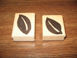 Bold Leaves Wood Mounted Rubber Stamp Lot by Hot Potatoes