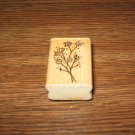 Baby's Breath Wood Mounted Rubber Stamp by Stampendous