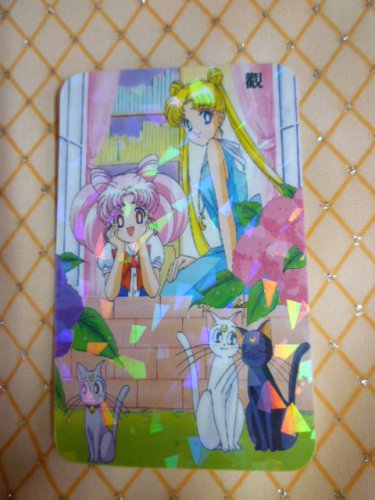 sailor moon holographic cards Peeking Sailor Moon (Holographic)