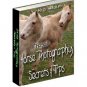 Horse Photography by Kris Williams - Resell eBook!