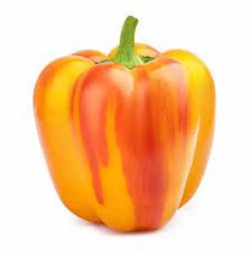 10 Sunset Aloha Red Yellow Bell Pepper Seeds Organic Fresh Seeds