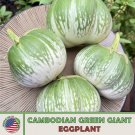 20 Cambodian Green Giant Eggplant Seeds, Solanum Melongena, Non-Gmo From US