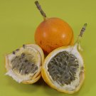 Sweet Granadilla Seeds Passiflora Ligularis Gardening USA SELLER