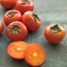 10 + seeds American persimmon (Diospyros virginiana) ) Native Coastal SC