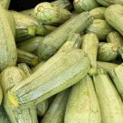 50 Seeds Squash Calabacita Mexican Grey Squash Grey Squash Grey Zucchini Summer Squash