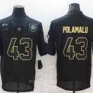 Men's Or Youth Troy Polamalu #43 Steelers Limited Jersey - Black Gold Gift