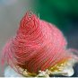 100 Seeds Flower Smoke Prairie - Geum Triflorum - Flowers Roses Curious