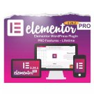 Elementor Pro 3.24.2  WordPress Plugin 3.24.3- Lifetime