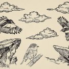 TRENDING Nature Forest Hand-Drawn Vector Elements - 31 Unique Illustrations