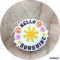 5 PCS Hello SunShine Silicone Focal Beads