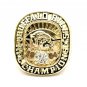 1964 BUFFALO BILLS AFL CHAMPIONS Championship Ring- Ring number -847