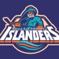 New York Islanders 3FT x5 FT 150X90CM Banner 100D Polyester NHL flag