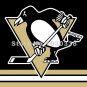 Pittsburgh Penguins Flag 3ft X 5ft Polyester NHL Banner Pittsburgh Pen