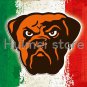 Cleveland Brown team FLAG green white red strip American flag