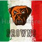 Cleveland Brown team FLAG green white red strip American flag