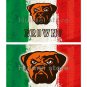 Cleveland Brown team FLAG green white red strip American flag