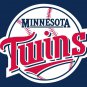 Minnesota Twins Flag With No Stars Stripes ML*B Flag 3x5 ft custom Ban
