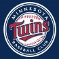 Minnesota Twins Flag With No Stars Stripes ML*B Flag 3x5 ft custom Ban
