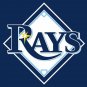 Tampa Bay Rays Flag 3'x5' Banner brass metal holes Rays Flag