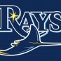 Tampa Bay Rays Flag 3'x5' Banner brass metal holes Rays Flag